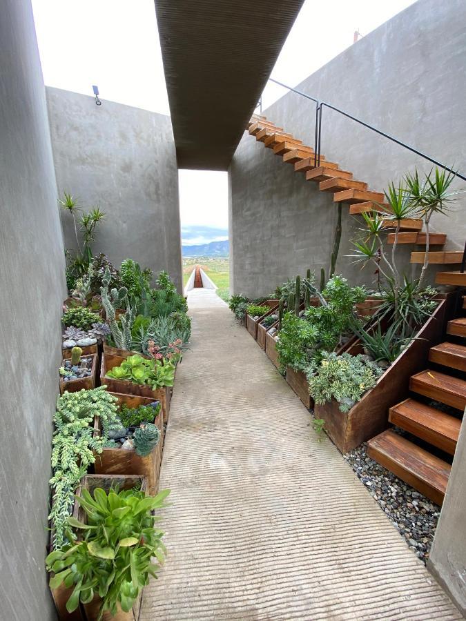 Santulan Bed & Breakfast Valle de Guadalupe Luaran gambar